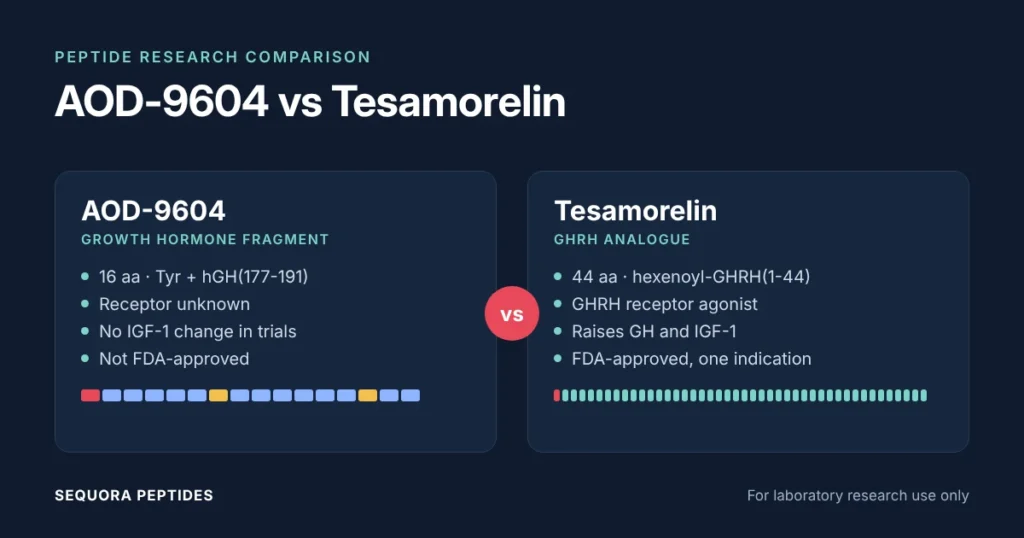 Side-by-side diagram of AOD-9604, a 16-residue growth hormone fragment with no known receptor, and tesamorelin, a 44-residue GHRH analogue acting on the pituitary GHRH receptor