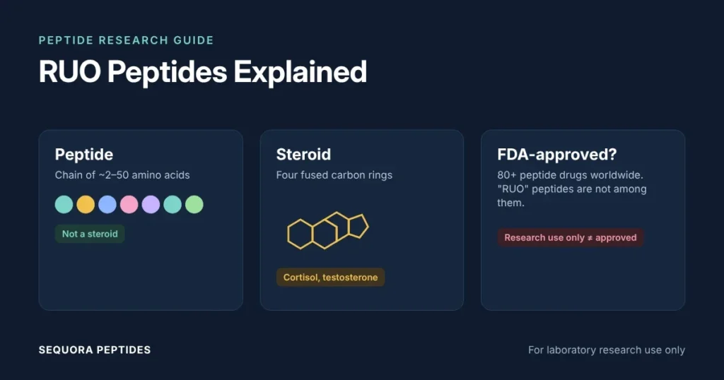 RUO peptides explained: diagram contrasting a peptide (a chain of amino acids) with a steroid (four fused carbon rings), with FDA-approved peptide drugs and research-use-only labels