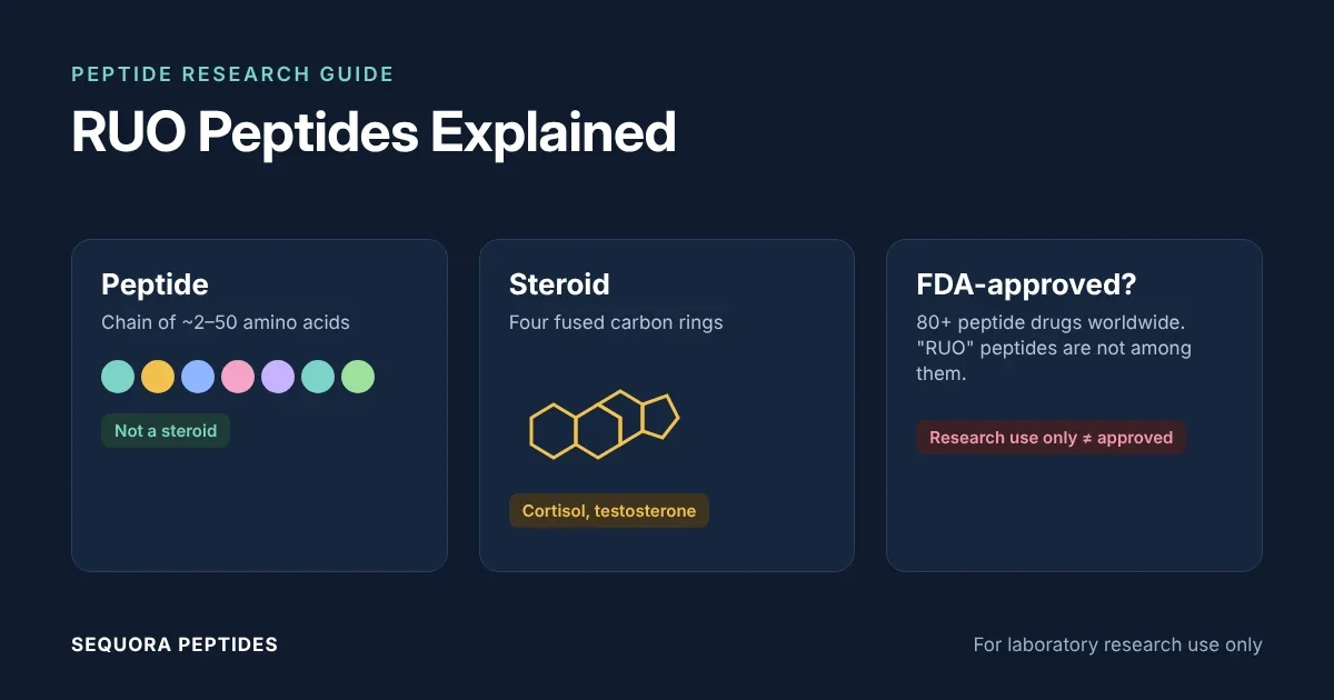 RUO peptides explained: diagram contrasting a peptide (a chain of amino acids) with a steroid (four fused carbon rings), with FDA-approved peptide drugs and research-use-only labels