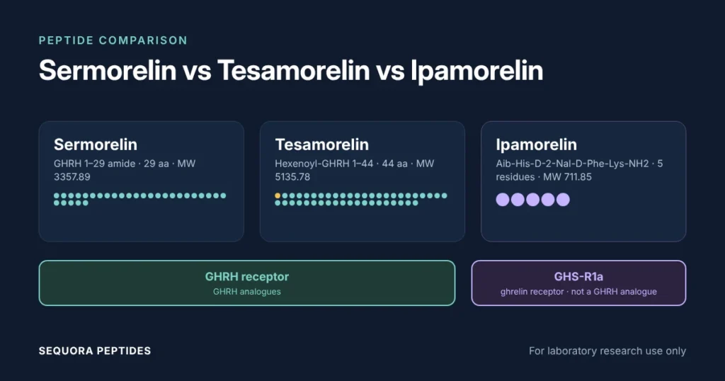 Three compound cards — sermorelin (29 amino acids) and tesamorelin (44 amino acids) pointing to the GHRH receptor, ipamorelin (5 residues) pointing to the ghrelin receptor GHS-R1a